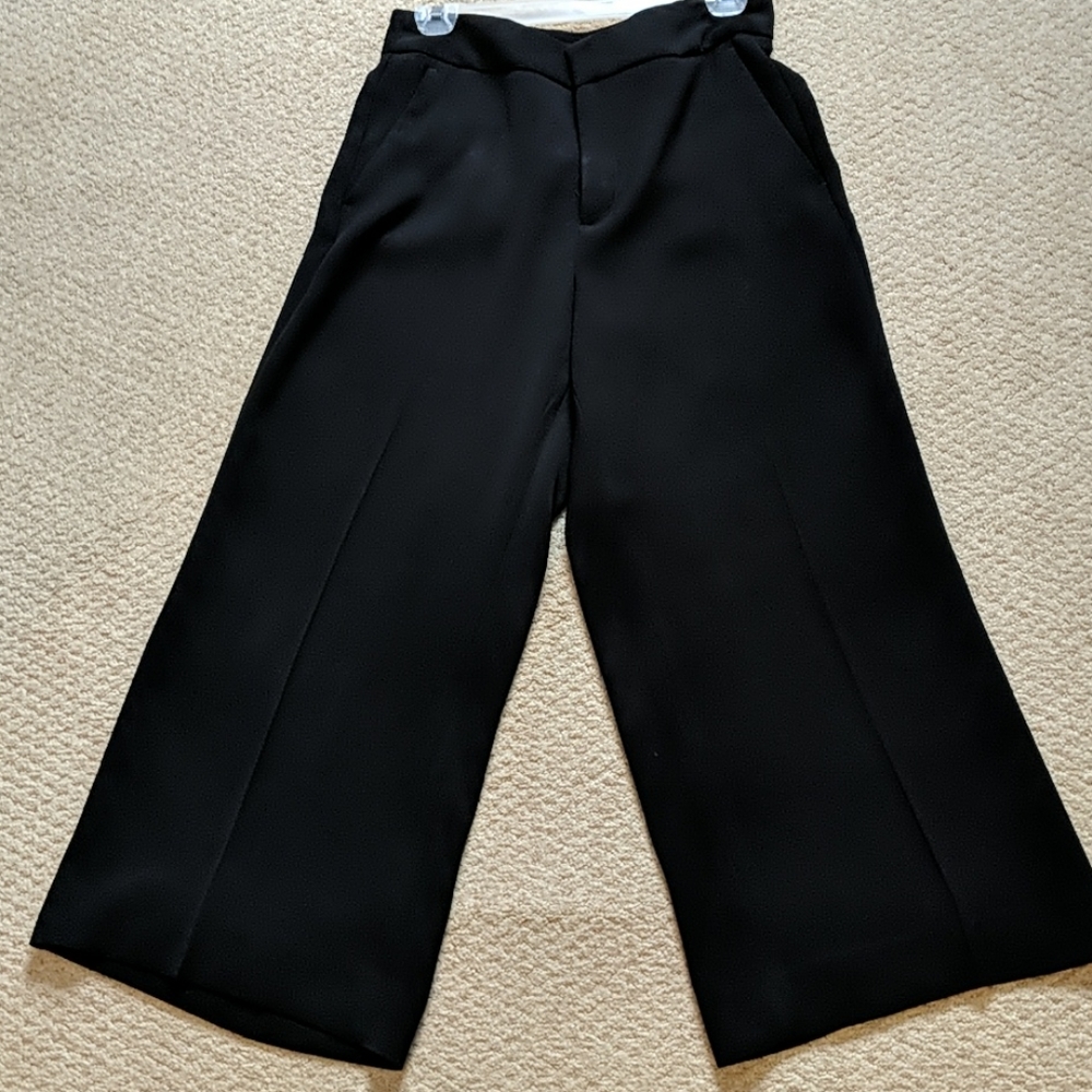Banana Republic Wide Leg Crops